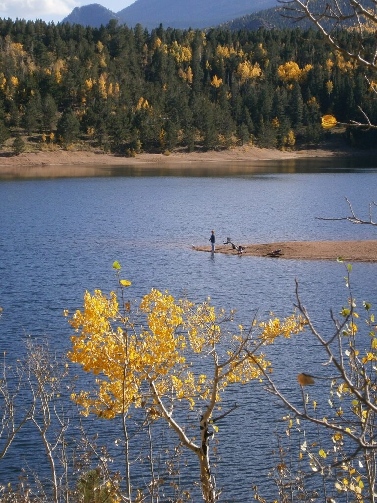fishing, lake, trees